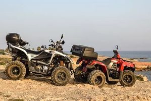 Off Road Buggy - 88231 types