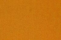 Carpet Cleaning Golders Green - 90099 species Carpet Cleaning Golders Green - 51707 species