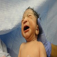 вземане на стволови клетки - 40499 снимки вземане на стволови клетки - 88546 снимки